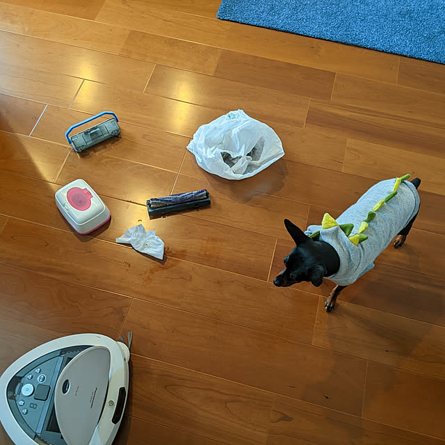 shizuponさんの実例写真