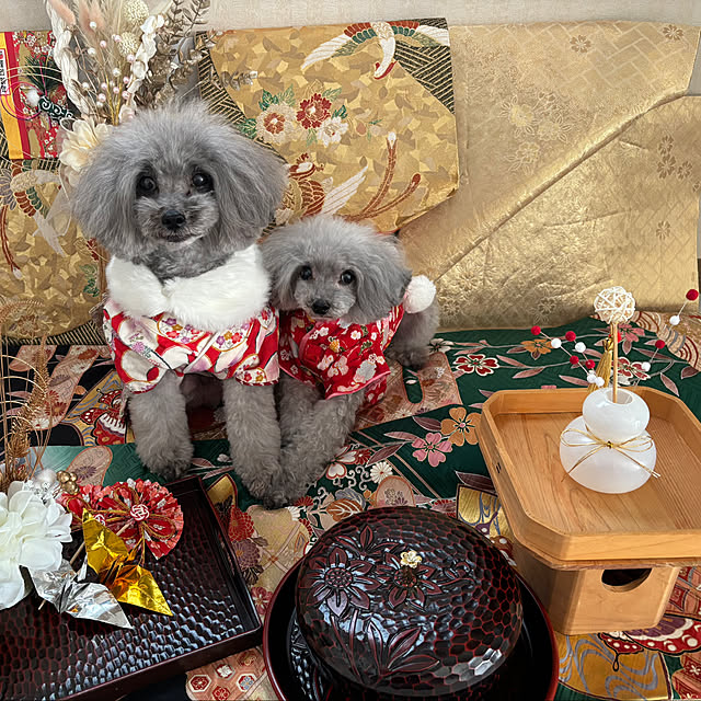 kaoさんの実例写真