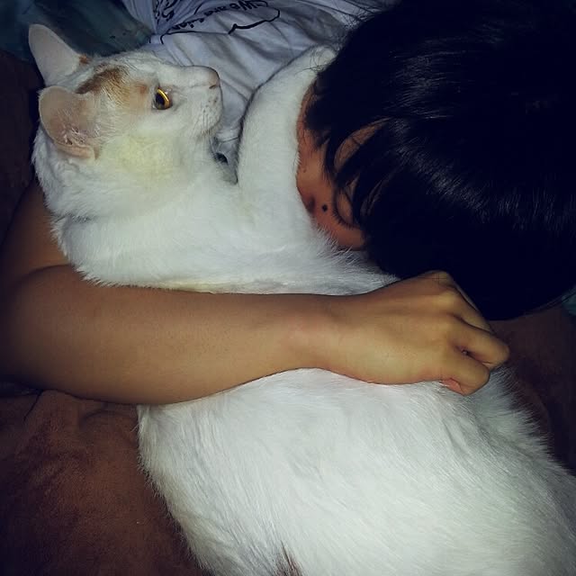 Yukikoさんの実例写真