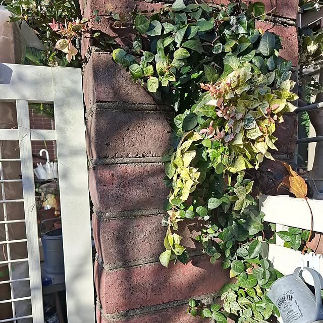 midoriさんの部屋