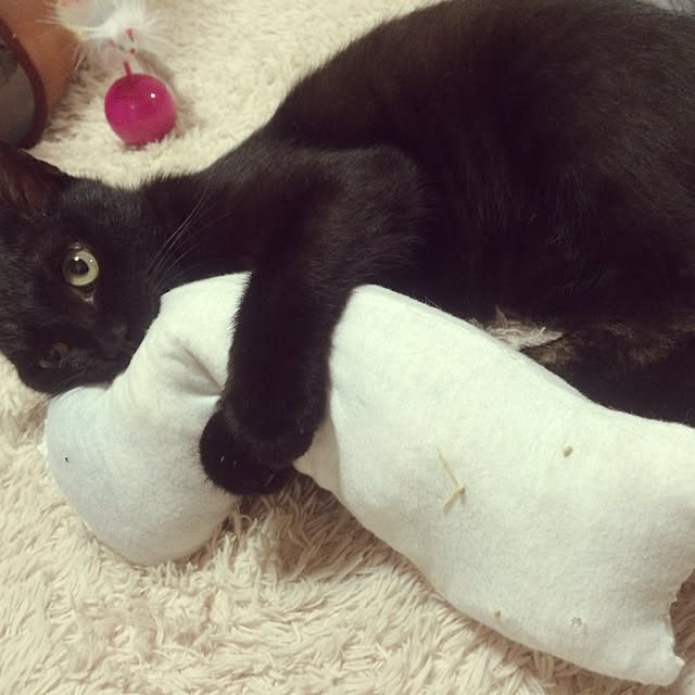 miyuさんの実例写真