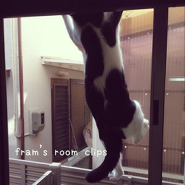 framさんの実例写真