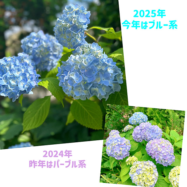 sunabaさんの部屋
