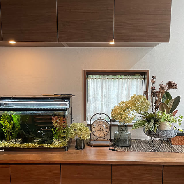 maimai0110さんの部屋