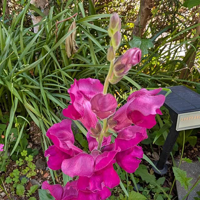 fuchan0930さんの部屋