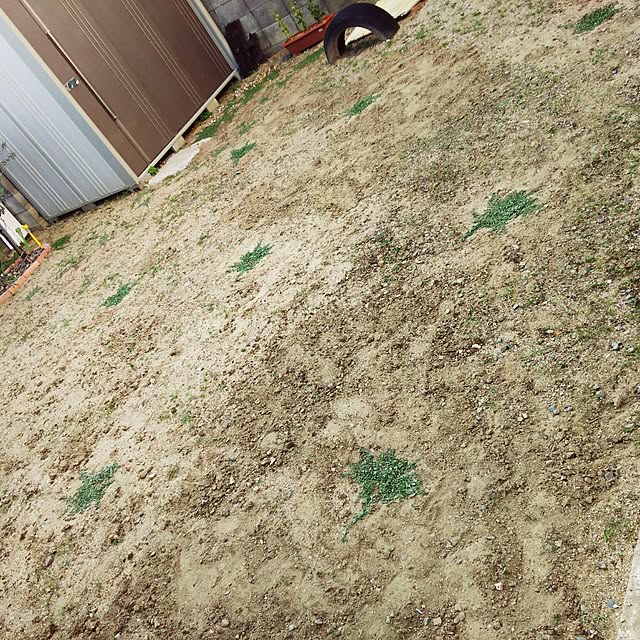 elvisさんの実例写真