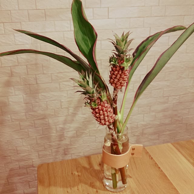 macoさんの実例写真