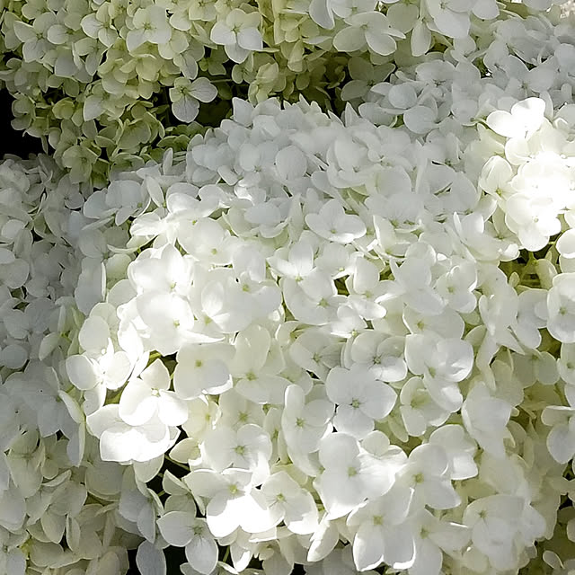 n.aturally_mさんの実例写真