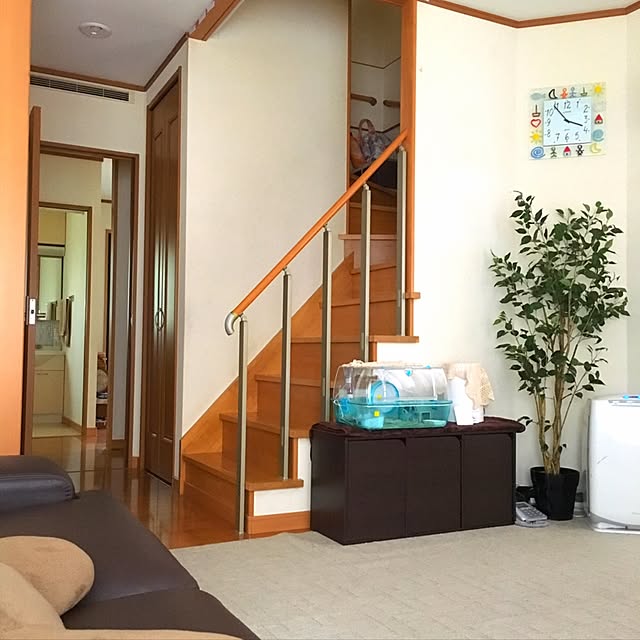 rinyouさんの実例写真