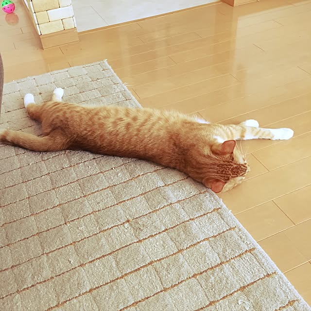 机のインテリア実例 - 2017-05-28 11:35:19