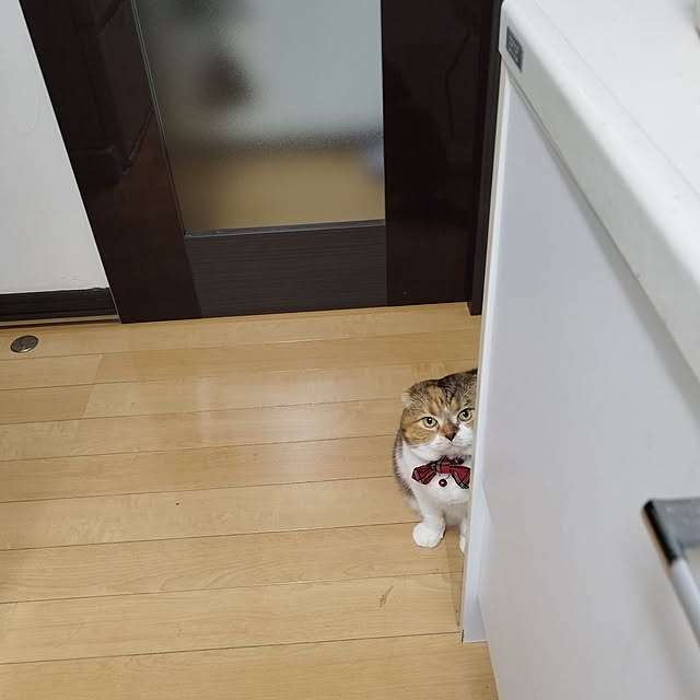 hiro3さんの実例写真