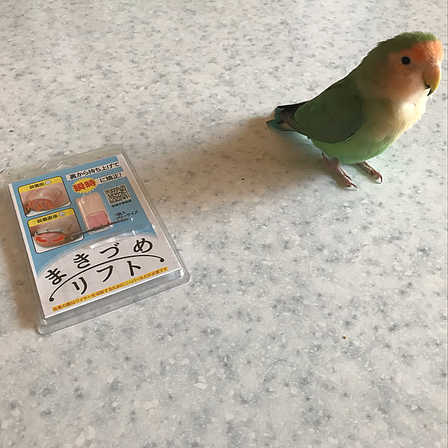 aoinokimiさんの実例写真