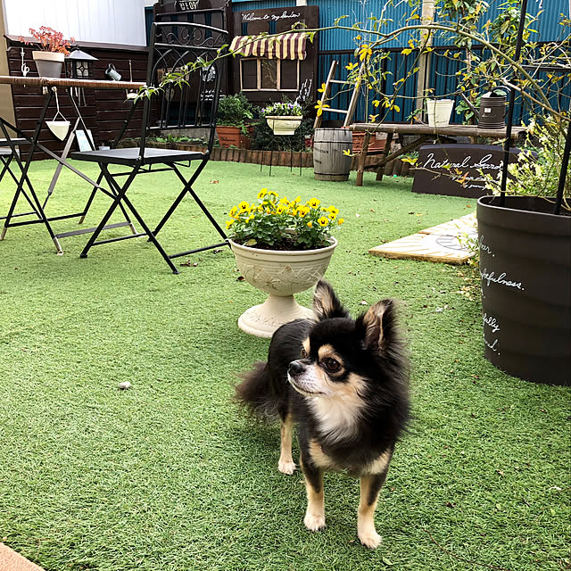 yokochinさんの実例写真