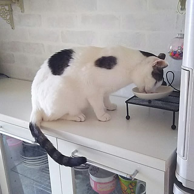 sakuraさんの実例写真