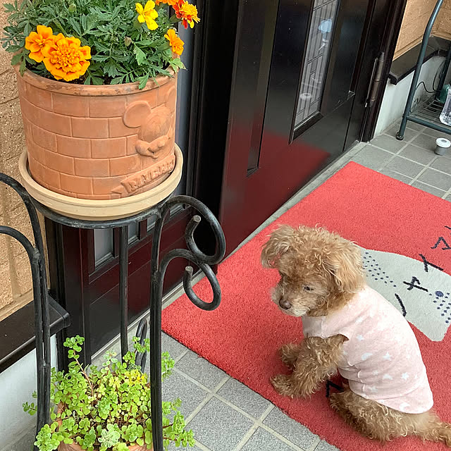 haruminさんの部屋