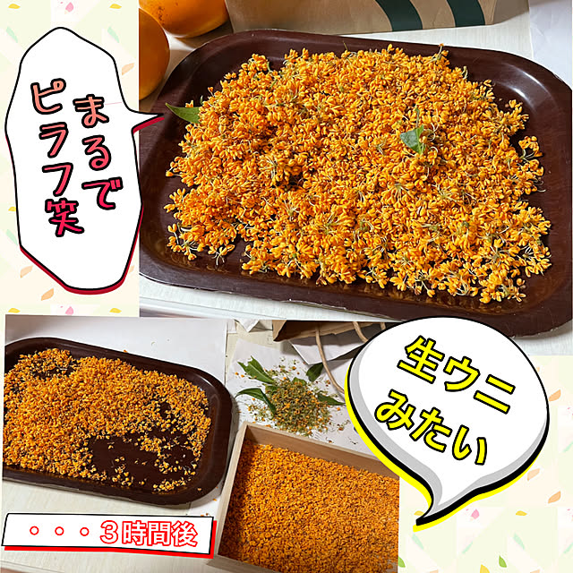 yumiさんの実例写真