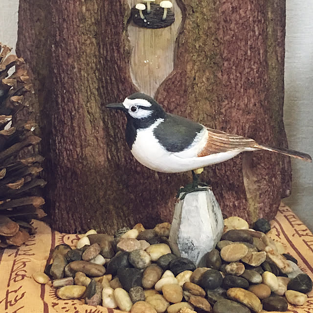 takakuzenさんの実例写真