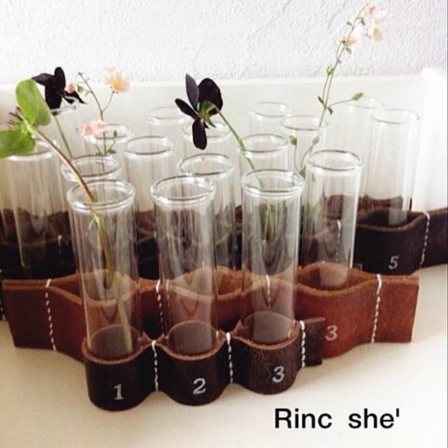 Rincsheさんの実例写真