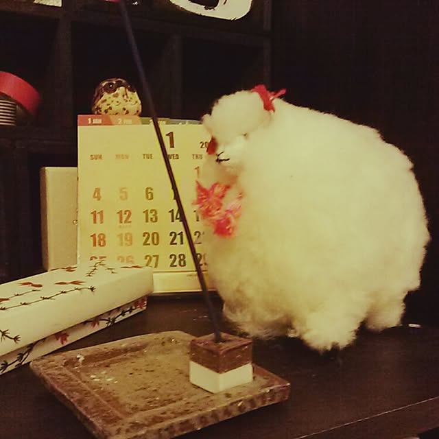 tanakaさんの実例写真