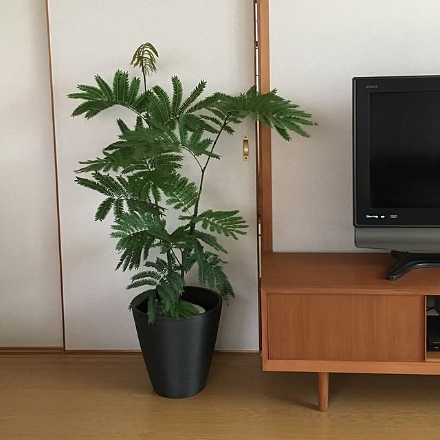tomoさんの実例写真