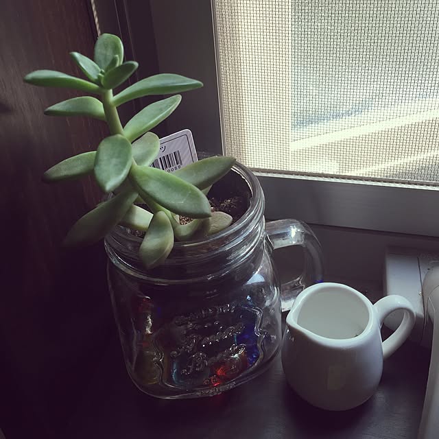craneさんの実例写真