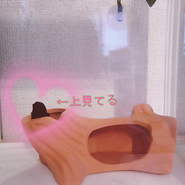HAL119さんの実例写真