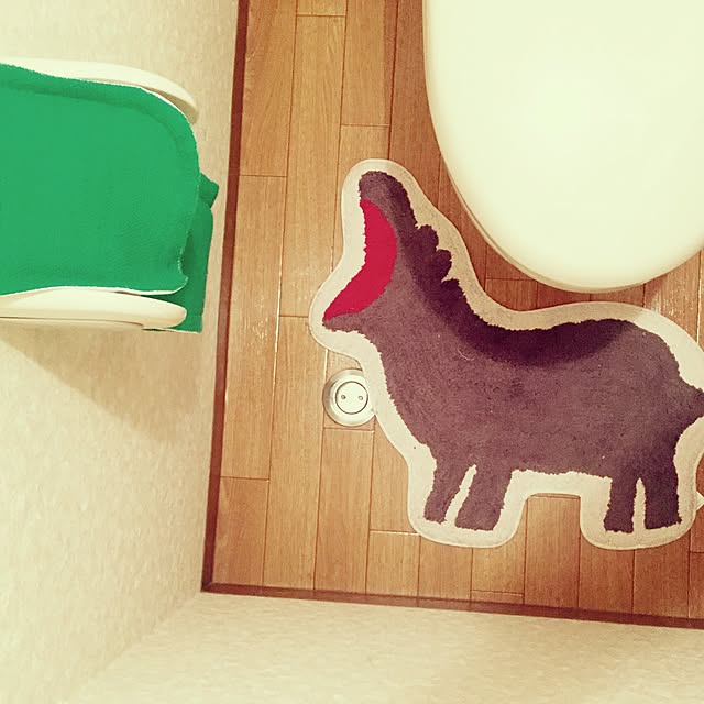 salさんの実例写真