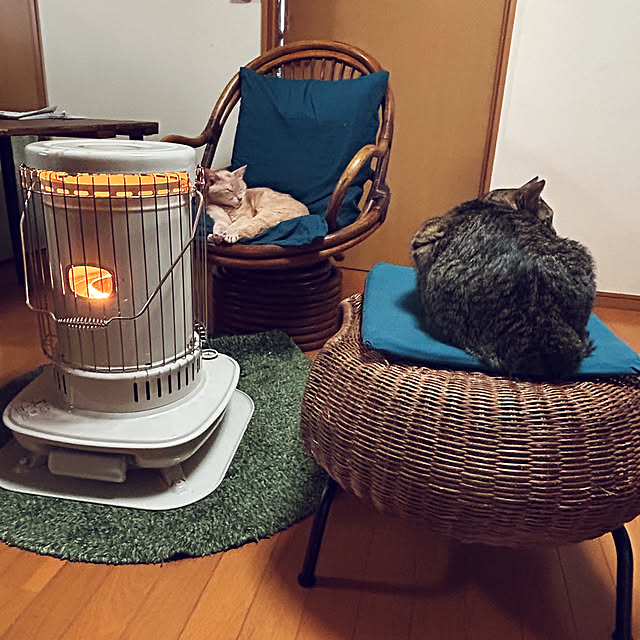 mikan161さんの実例写真