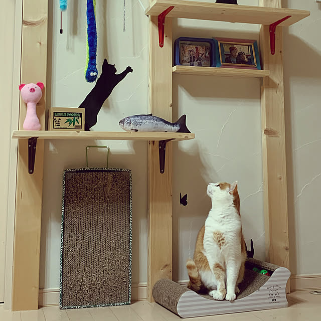 Toyomiさんの実例写真