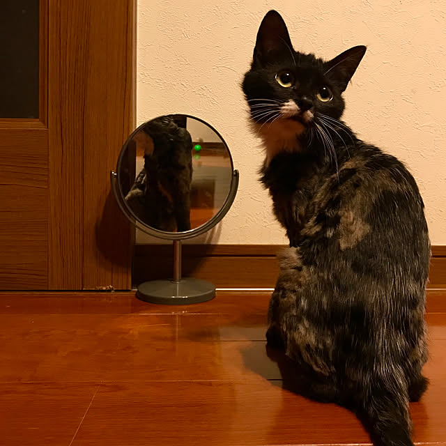 butachanさんの実例写真