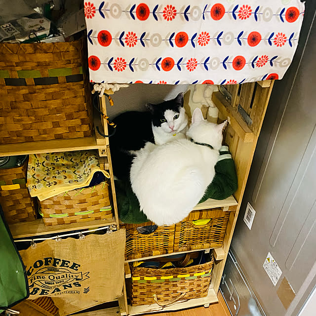 SHIHOさんの実例写真
