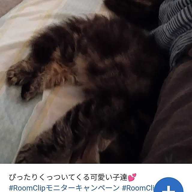 makaronさんの実例写真