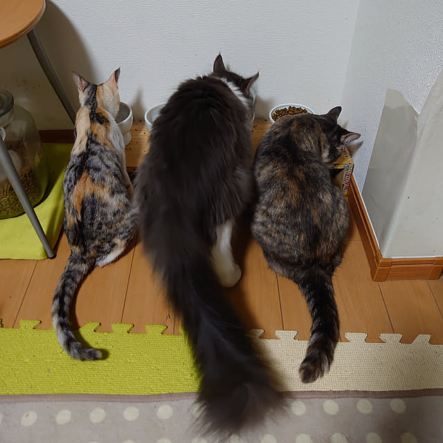 shinobuさんの実例写真