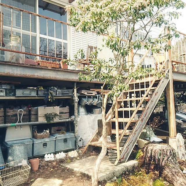 weさんの実例写真