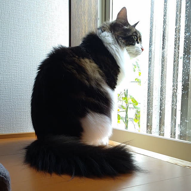 +CHIHARU+さんの実例写真