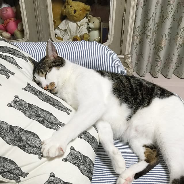yuchiさんの実例写真