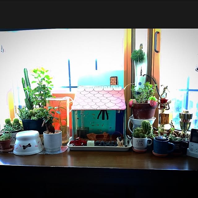 mntcさんの部屋