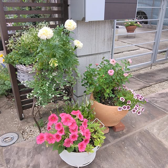 mii-sanさんの部屋
