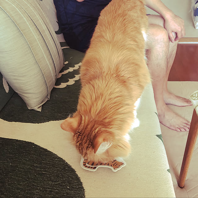 uchidaizuさんの実例写真