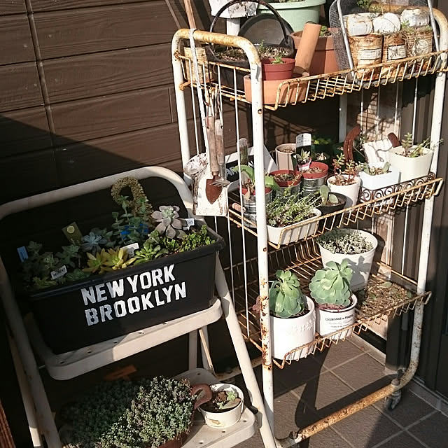 tikuwaさんの実例写真
