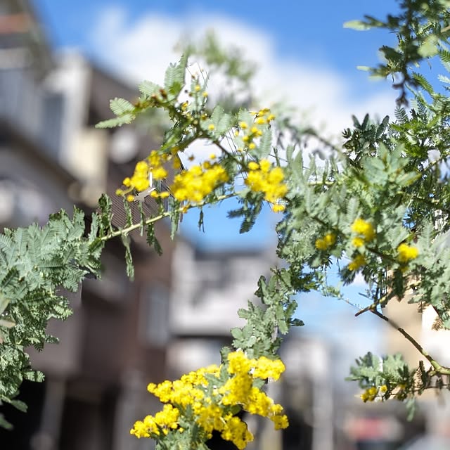 junさんの実例写真