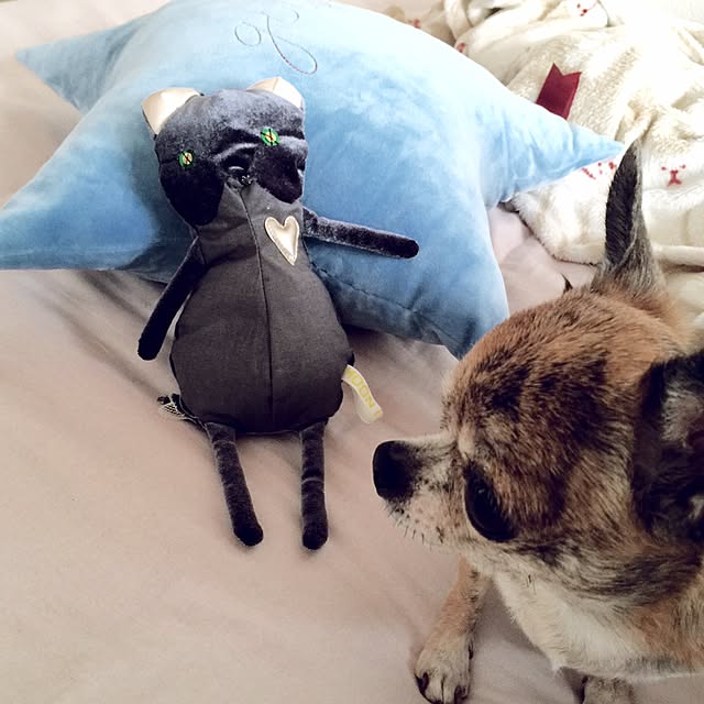 risaringoさんの実例写真