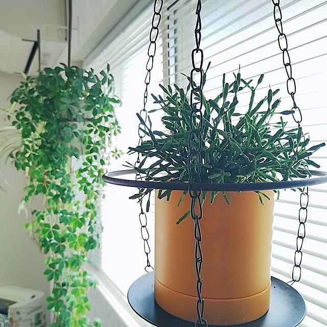 .endさんの実例写真