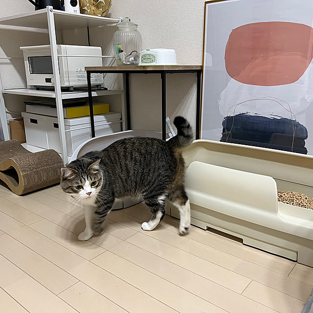 odashiさんの部屋