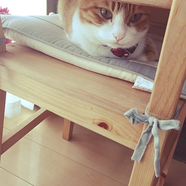 mymmさんの実例写真