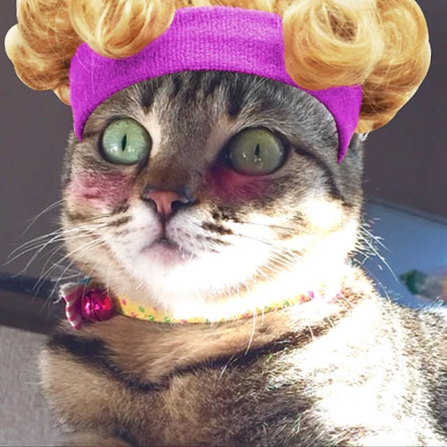 doramiさんの実例写真