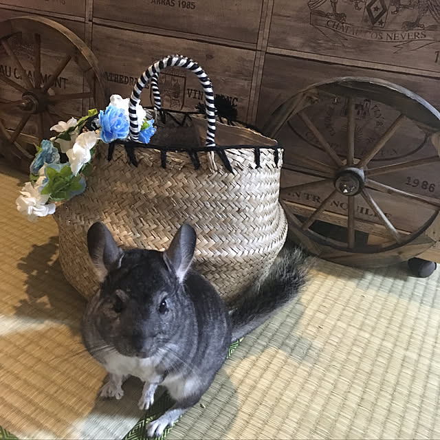 bambiさんの実例写真