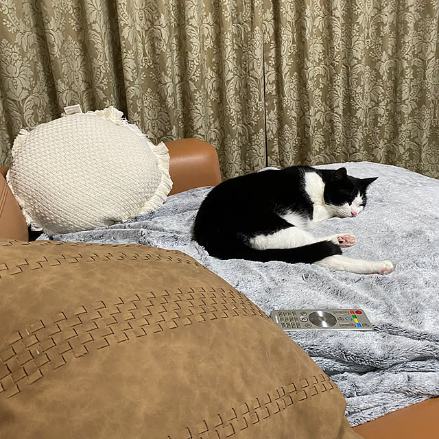 joyful77さんの部屋