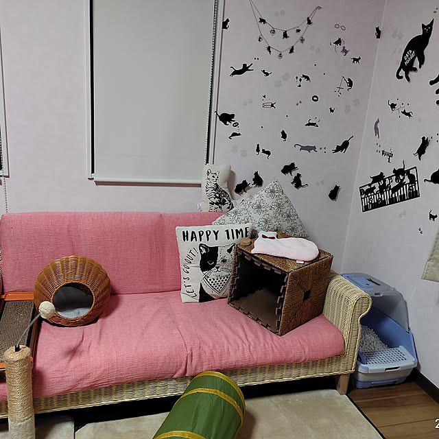 kimiwasaさんの実例写真
