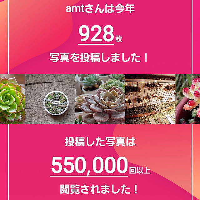 amtさんの実例写真